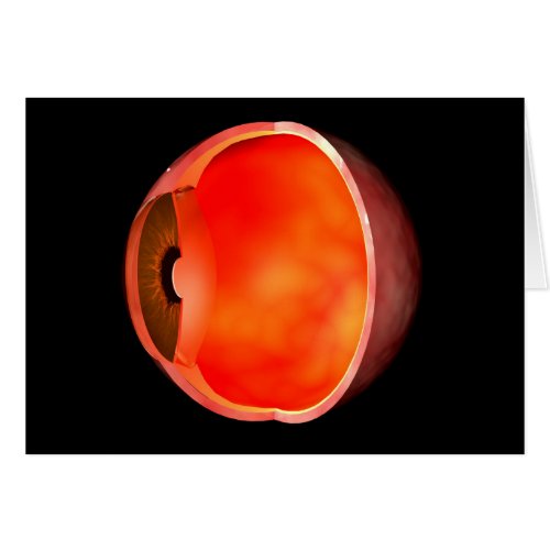 Conceptual Image Of Human Eye Cross Section 2