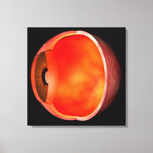 Conceptual Image Of Human Eye Cross Section 2 Canvas Print