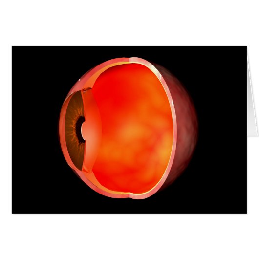 Conceptual Image Of Human Eye Cross Section 2 Cards (Front Horizontal)