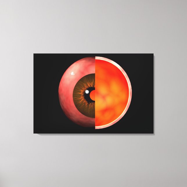 Conceptual Image Of Human Eye Cross Section 3 Canvas Print (Front)
