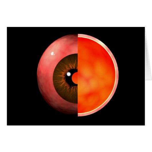 Conceptual Image Of Human Eye Cross Section 3 Cards (Front Horizontal)