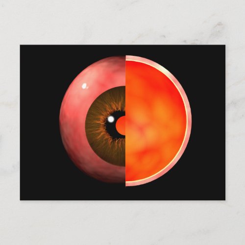 Conceptual Image Of Human Eye Cross Section 3 Postcard