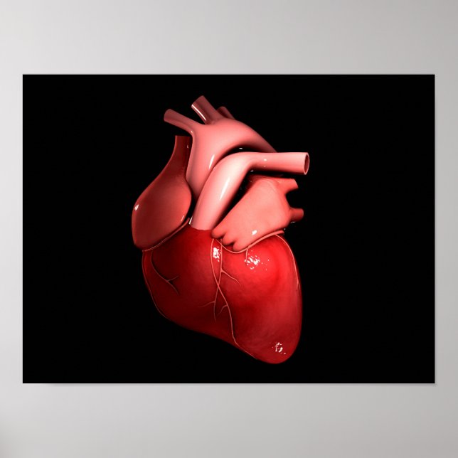 Conceptual Image Of Human Heart 1 Poster (Front)
