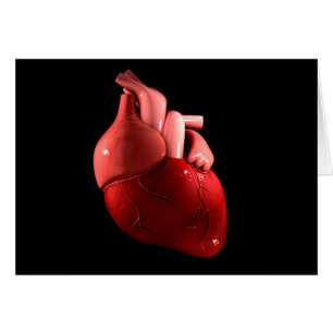 Conceptual Image Of Human Heart 2 Cards
