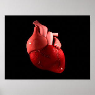 Conceptual Image Of Human Heart 2 Poster