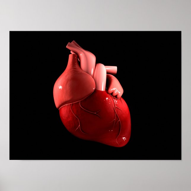 Conceptual Image Of Human Heart 2 Poster (Front)