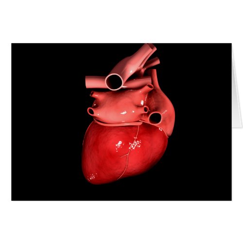 Conceptual Image Of Human Heart 3