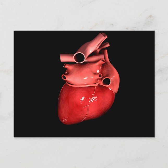 Conceptual Image Of Human Heart 3 Postcard (Front)