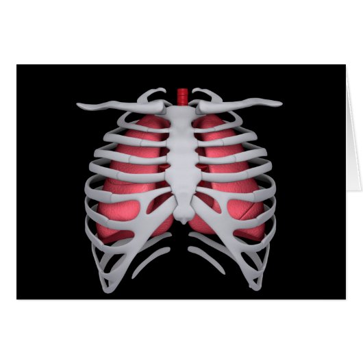 Conceptual Image Of Human Lungs And Rib Cage 1 (Front Horizontal)