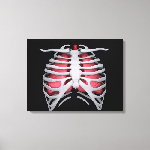 Conceptual Image Of Human Lungs And Rib Cage 1 Canvas Print