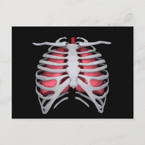 Conceptual Image Of Human Lungs And Rib Cage 1 Postcard