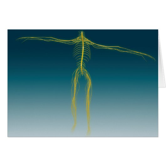 Conceptual Image Of Human Nervous System 1 Cards (Front Horizontal)