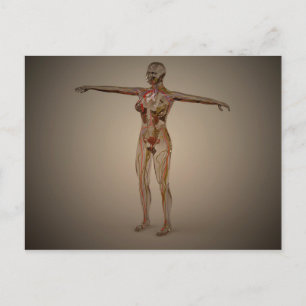 Conceptual Image Of Human Nervous System 2 Postcard