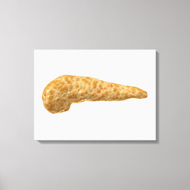 Conceptual Image Of Human Pancreas Canvas Print (Front)