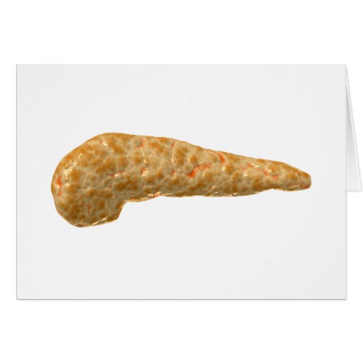 Conceptual Image Of Human Pancreas Cards (Front Horizontal)