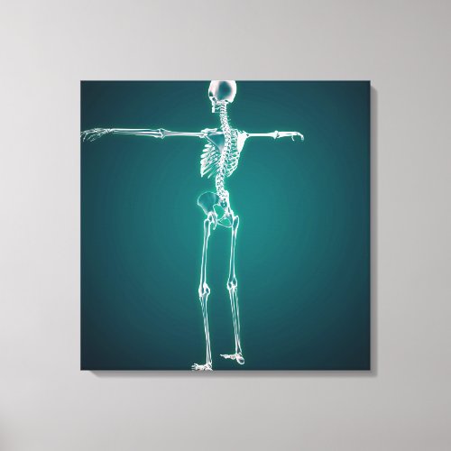 Conceptual Image Of Human Skeletal System Canvas Print