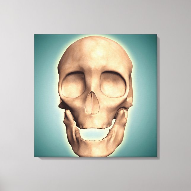 Conceptual Image Of Human Skull, Front View Canvas Print (Front)