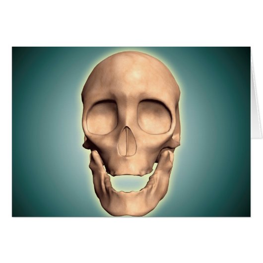 Conceptual Image Of Human Skull, Front View Cards (Front Horizontal)