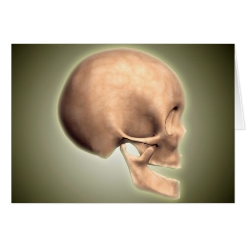 Conceptual Image Of Human Skull Side View