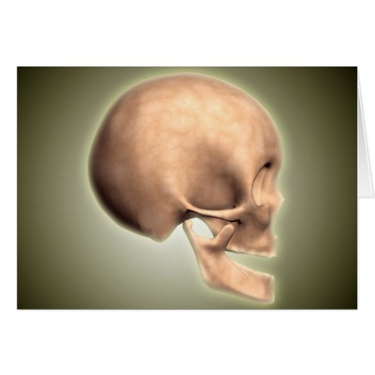 Conceptual Image Of Human Skull, Side View Cards (Front Horizontal)