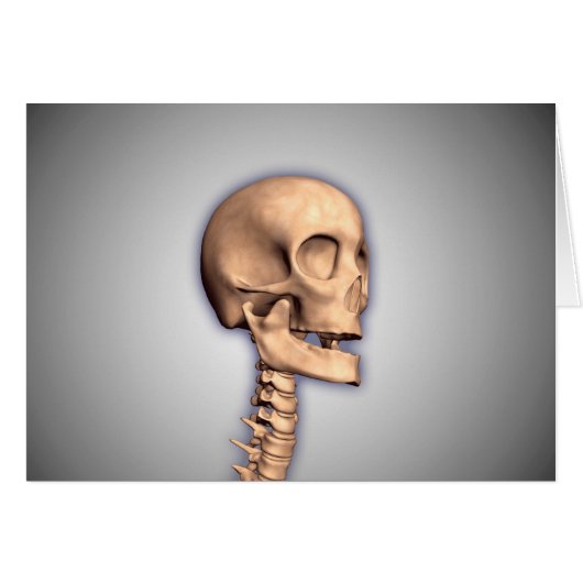 Conceptual Image Of Human Skull & Spinal Cord 2 Cards (Front Horizontal)