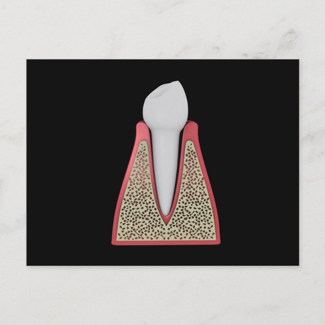 Conceptual Image Of Human Tooth 1 Postcard (Front)