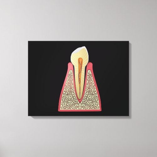 Conceptual Image Of Human Tooth 2 Canvas Print
