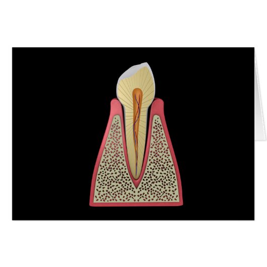 Conceptual Image Of Human Tooth 2 Cards (Front Horizontal)