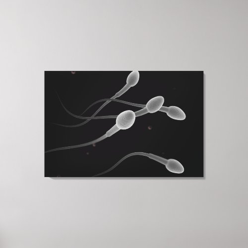 Conceptual Image Of Male Sperm Canvas Print