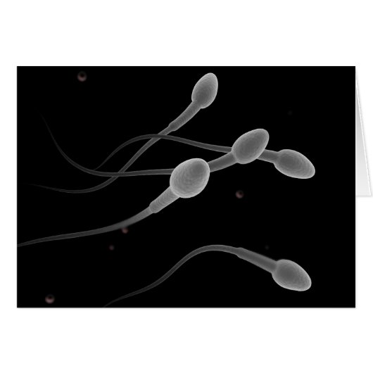 Conceptual Image Of Male Sperm Cards (Front Horizontal)