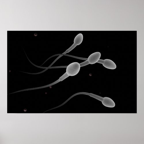 Conceptual Image Of Male Sperm Poster
