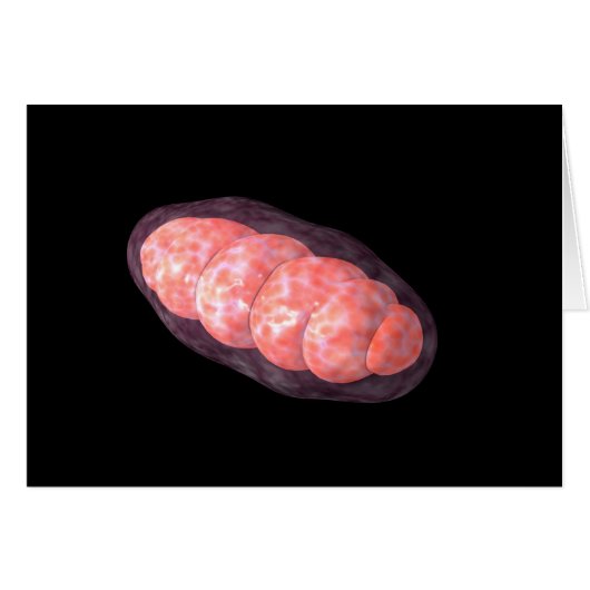 Conceptual Image Of Mitochondria 2 Cards (Front Horizontal)