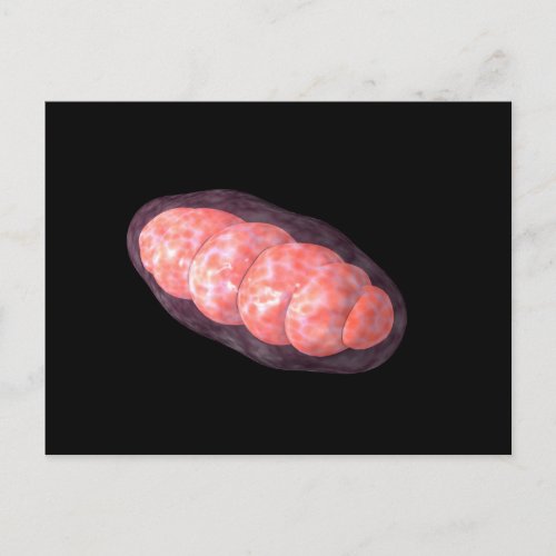 Conceptual Image Of Mitochondria 2 Postcard
