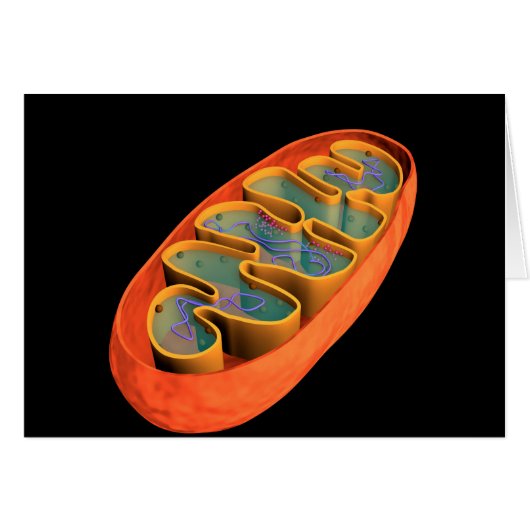 Conceptual Image Of Mitochondria 3 Cards (Front Horizontal)
