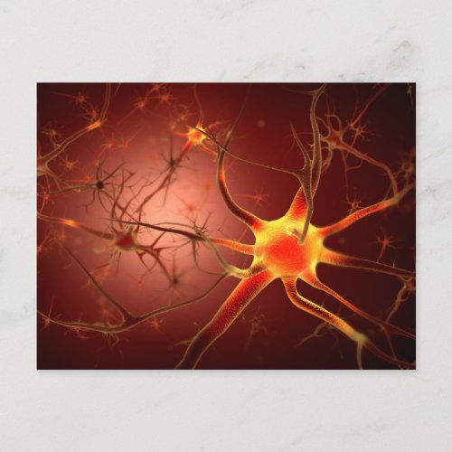 Conceptual Image Of Neuron 1 Postcard