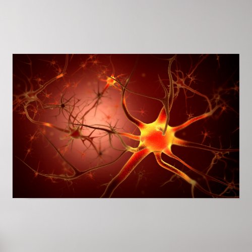 Conceptual Image Of Neuron 1 Poster