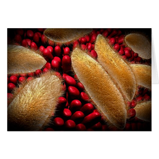 Conceptual Image Of Paramecium 1 Cards (Front Horizontal)