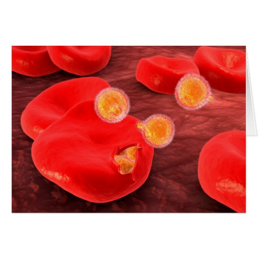Conceptual Image Of Paramecium 2 Cards (Front Horizontal)