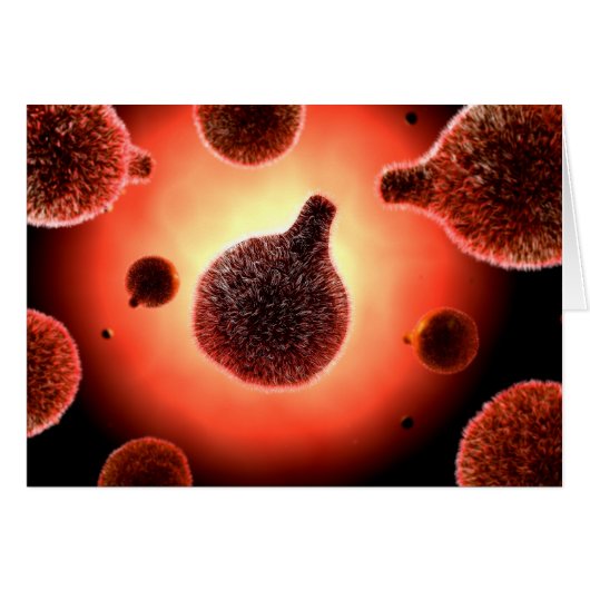Conceptual Image Of Plasmodium Causing Malaria 1 Cards (Front Horizontal)