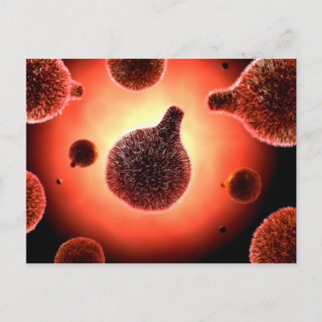 Conceptual Image Of Plasmodium Causing Malaria 1 Postcard (Front)