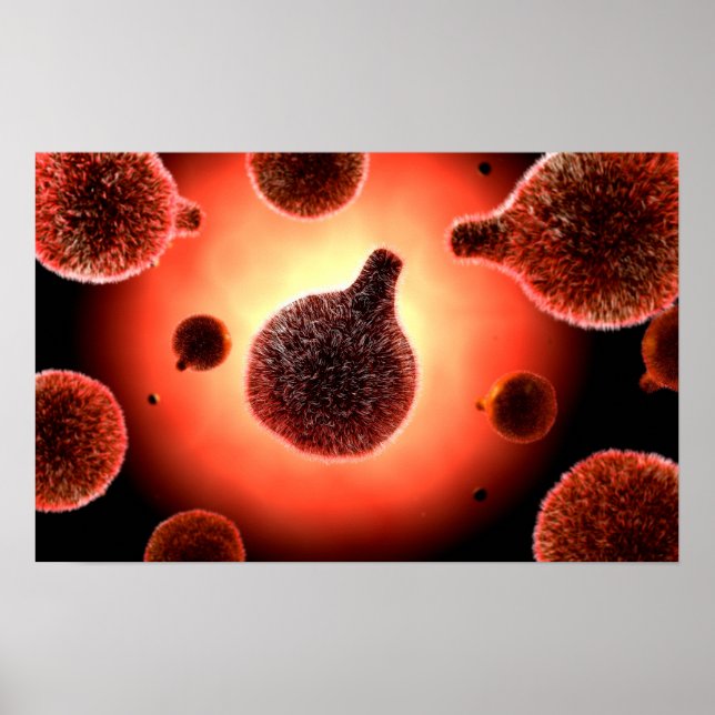 Conceptual Image Of Plasmodium Causing Malaria 1 Poster (Front)