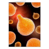 Conceptual Image Of Plasmodium Causing Malaria 3 (Front)