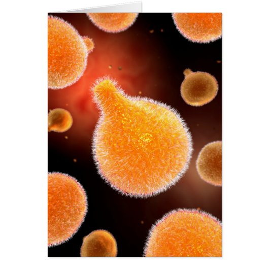 Conceptual Image Of Plasmodium Causing Malaria 3 Cards (Front)