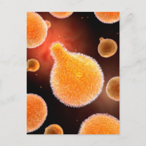 Conceptual Image Of Plasmodium Causing Malaria 3 Postcard