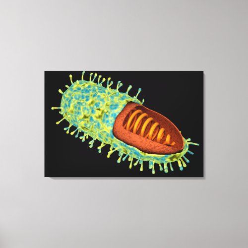 Conceptual Image Of Rabies Virus 3 Canvas Print