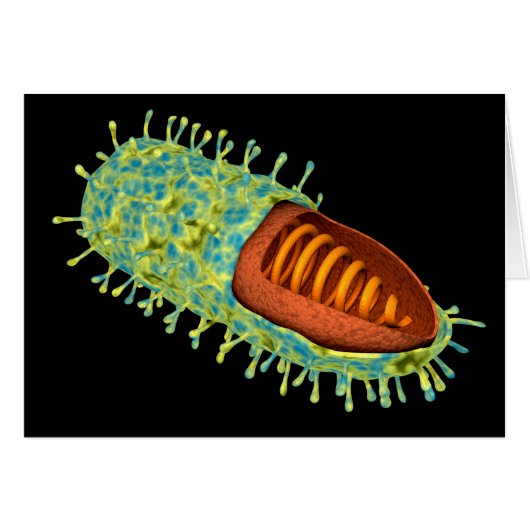 Conceptual Image Of Rabies Virus 3 Cards (Front Horizontal)