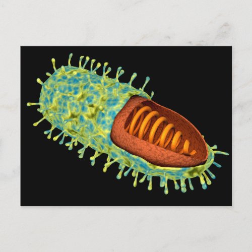 Conceptual Image Of Rabies Virus 3 Postcard