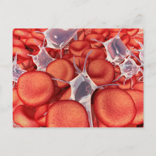 Conceptual Image Of Red Blood Cells 2 Postcard
