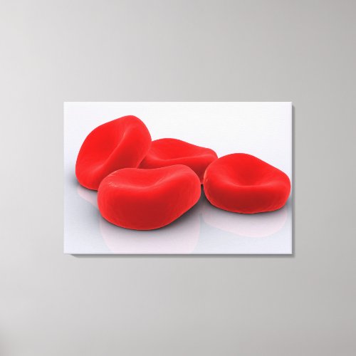 Conceptual Image Of Red Blood Cells Canvas Print
