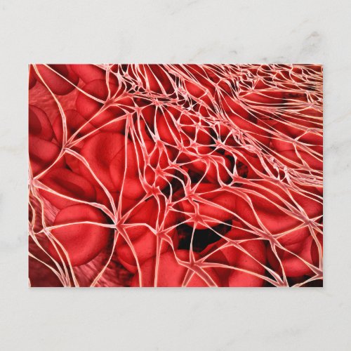 Conceptual Image Of Red Blood Cells With Fibrin Postcard